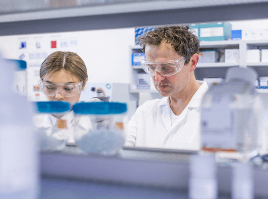 422425256 Ozeltakviyeler